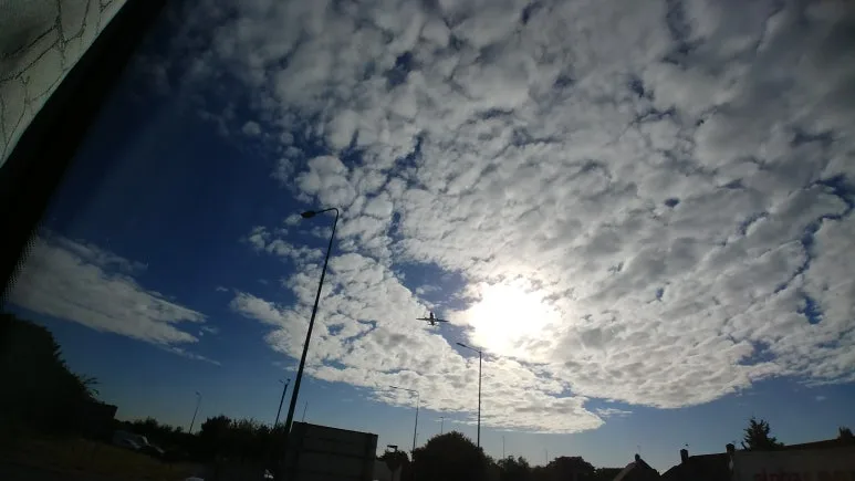 20180810_081421.jpg?type=w773