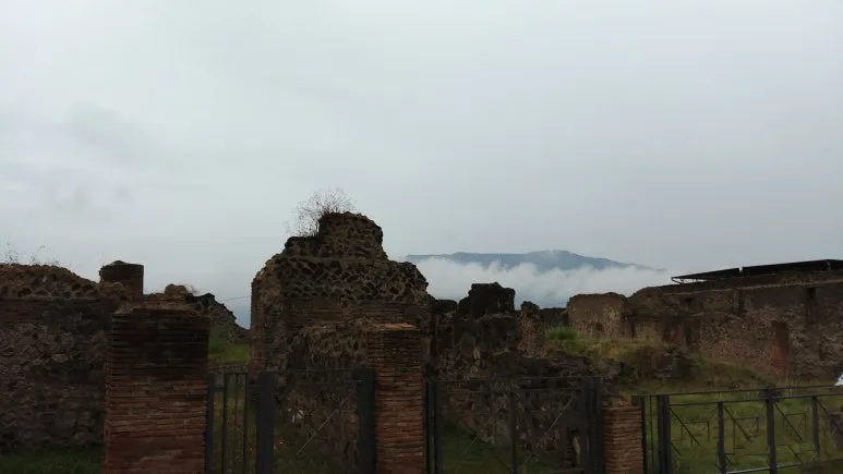 20180815_094515.jpg?type=w773