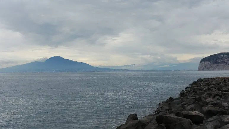 20180815_111546.jpg?type=w773