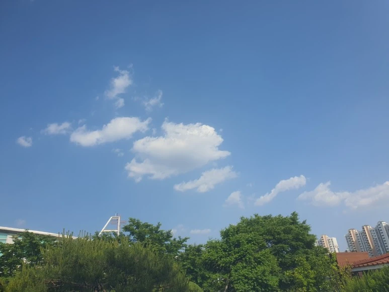 KakaoTalk_20230524_204541616.jpg?type=w773