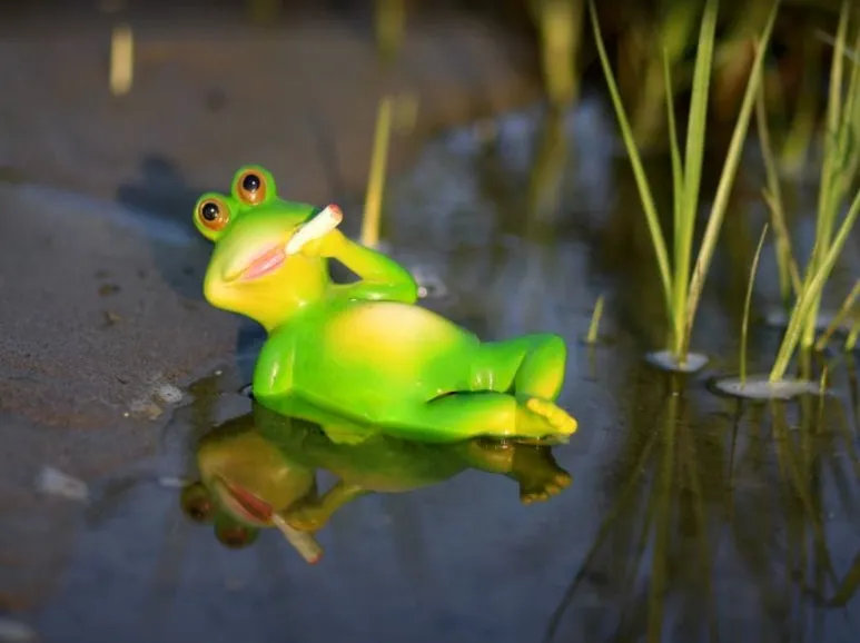 %EA%B2%8C%EC%9C%BC%EB%A5%B8.JPG?type=w773