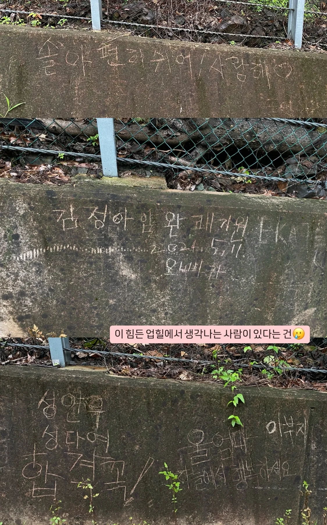 ADKq_NY9vYziGqeu-GvDnVuiDxQHfIWFzCJMK2LYDBQnM-vSHP54hICtQ5nztRMdTc8aAyXMeFC_UkjOICNlCLlzkXQdEvye7ESEEHimcEAzjwmFI1CADQ=s0-d-e1-ft