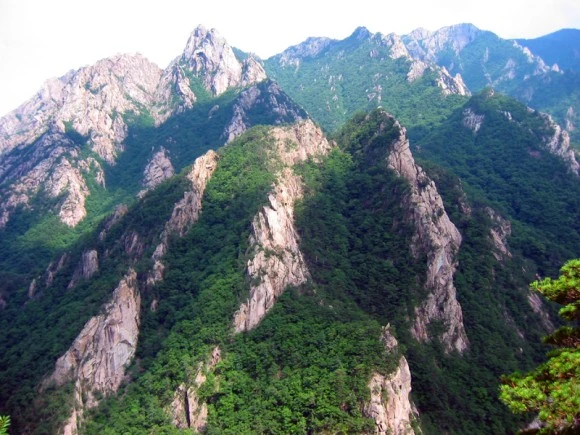 26m8769m3.jpg?type=w580