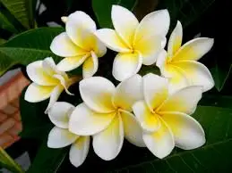 다운로드 (1).jfif