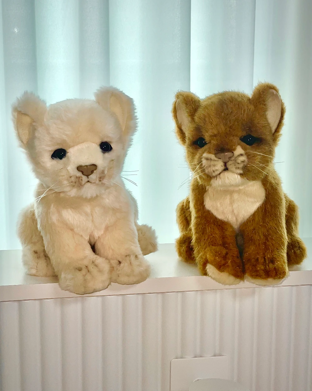 사자 두마리.jpeg