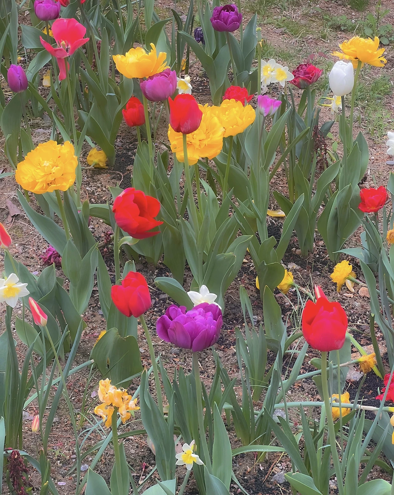 664f23dc3cced.jpeg?imgSeq=24371