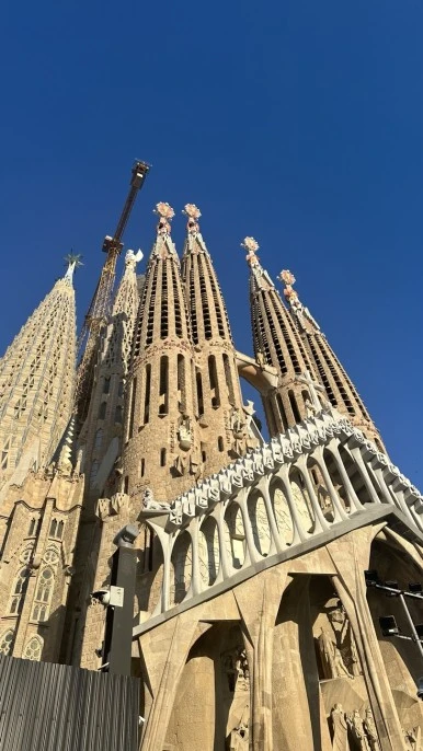 %ED%8C%8C%EB%B0%80%EB%A6%AC%EC%95%84%EC%84%B1%EB%8B%B9_%EC%99%B8%EB%B6%80.jpg?type=w386