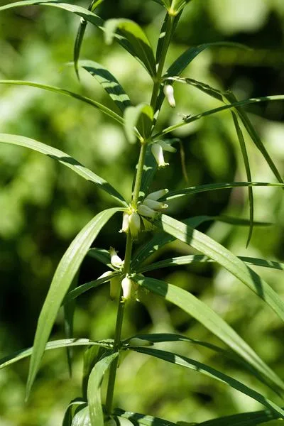 452248477_8284190601625011_8084631355608936500_n.jpg?stp=dst-jpg_s600x600&_nc_cat=111&ccb=1-7&_nc_sid=127cfc&_nc_ohc=y7TNDZqSriEQ7kNvgFc2hQm&_nc_ht=scontent-ssn1-1.xx&_nc_gid=AGn6a--MxPU27_Q1bNeM0X4&oh=00_AYCgawYB3YGYptX1TygUqZE3w7TVUdgQ-W0goPEUlL9UQw&oe=66EFEC30