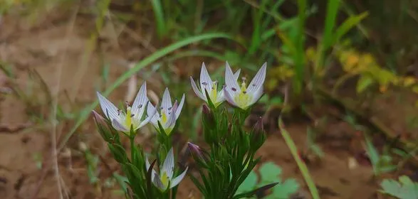 453996201_8367888656588538_787306508730737907_n.jpg?stp=dst-jpg_p280x280&_nc_cat=102&ccb=1-7&_nc_sid=127cfc&_nc_ohc=bnRSez8IXBMQ7kNvgGtlAB6&_nc_ht=scontent-ssn1-1.xx&oh=00_AYA_H-EfVqungQM4mEvTCqmQyrdlJLi17QYCs_fSQ-4bUQ&oe=66FE65FA