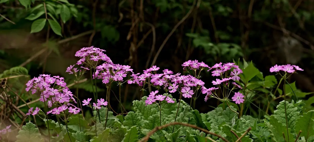 447674187_8043183962392344_2537089569441964820_n.jpg?_nc_cat=104&ccb=1-7&_nc_sid=5f2048&_nc_ohc=knhXR0dRggUQ7kNvgGiCKXH&_nc_ht=scontent-ssn1-1.xx&oh=00_AYA9jQ7XUmlVEUCYf150XfvpMEZrRCvHD2NGwlgl5O-4_g&oe=6679374D