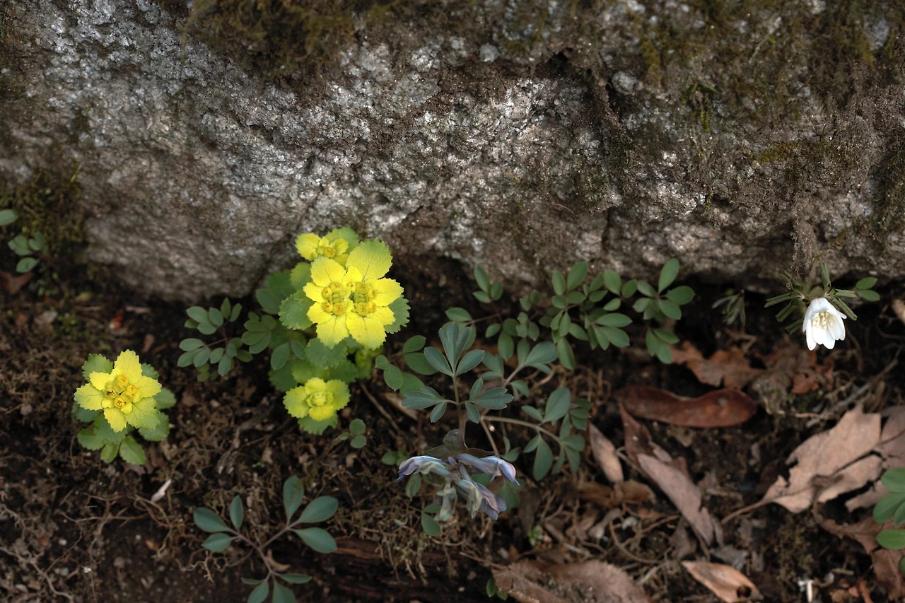 441604383_7943138005730274_5319140517242159294_n.jpg?_nc_cat=108&ccb=1-7&_nc_sid=5f2048&_nc_ohc=wbn7FTZQYl0Q7kNvgGFwqdB&_nc_ht=scontent-ssn1-1.xx&oh=00_AYDfEMHVbsz_nf8E8iSFpDEhDQHmIV62sOoS2CwgAivbXw&oe=665F1A0D