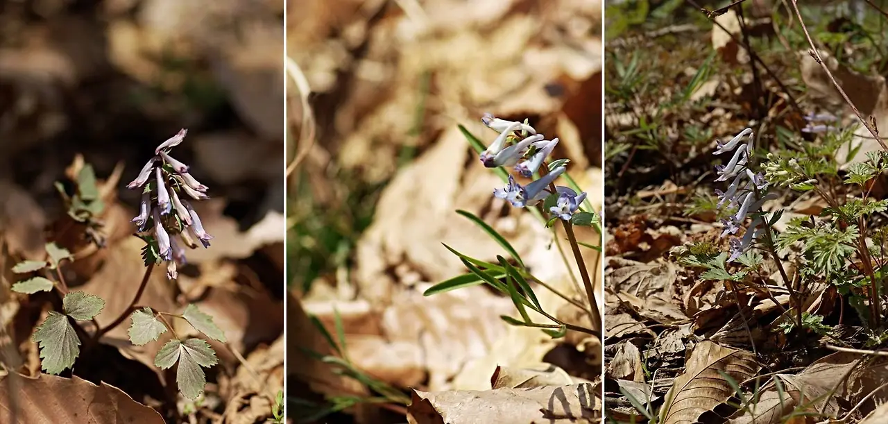 435116178_7784047341639342_4913390448647464887_n.jpg?_nc_cat=103&ccb=1-7&_nc_sid=5f2048&_nc_ohc=8KoNZuqBTaYAb7YQbUT&_nc_ht=scontent-ssn1-1.xx&oh=00_AfDYD0tOqfvY5jE9x1df3Xs0XhW__rLo8Pckpb2hkzbVeQ&oe=66311220