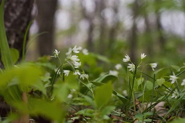 439336115_7836208809756528_906299685236393762_n.jpg?stp=dst-jpg_p526x395&_nc_cat=104&ccb=1-7&_nc_sid=5f2048&_nc_ohc=YHHahka-XNMQ7kNvgHkC4Z3&_nc_ht=scontent-ssn1-1.xx&oh=00_AfBdHgkIMPtfCxG1P26uKhOuU0y_fJBddHVfCD8Wu2Vojg&oe=6638BF00