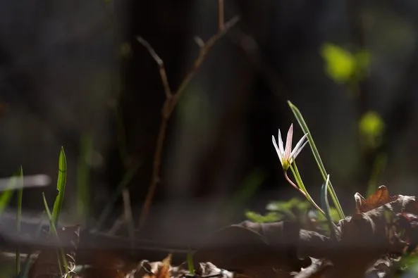 439406584_7836207019756707_552220833367633846_n.jpg?stp=dst-jpg_p526x395&_nc_cat=109&ccb=1-7&_nc_sid=5f2048&_nc_ohc=r-FdNZOfiNwQ7kNvgEkqakp&_nc_ht=scontent-ssn1-1.xx&oh=00_AfC8vUhBmICmouqpRGpjFvwaiTxYHHqnQ2AP8Gj9kF1aow&oe=6638CAFF