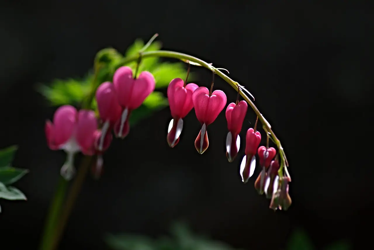 447900790_8058422527535154_4287354442062919309_n.jpg?_nc_cat=102&ccb=1-7&_nc_sid=5f2048&_nc_ohc=BVsqA2S6DMkQ7kNvgGOzYpl&_nc_ht=scontent-ssn1-1.xx&oh=00_AYBQzt3sTt3iQ0OxAaiBHXv2oppJ3_8F2g6JH3cM1YwItA&oe=667E7274