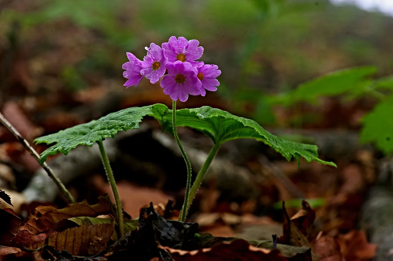 447296292_8043185099058897_8190167159487031428_n.jpg?_nc_cat=105&ccb=1-7&_nc_sid=5f2048&_nc_ohc=YOM0qePkJ1QQ7kNvgFBBXOH&_nc_ht=scontent-ssn1-1.xx&oh=00_AYCa2shzdG17WVxidfFeYvuwJ42V6J0rFRBHTMbTiDa6zA&oe=66792291