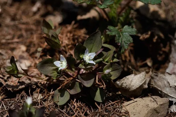 454355334_8367889793255091_5453439640484670985_n.jpg?stp=dst-jpg_p526x395&_nc_cat=101&ccb=1-7&_nc_sid=127cfc&_nc_ohc=yTT_K2E7R8EQ7kNvgG3Ww_A&_nc_ht=scontent-ssn1-1.xx&oh=00_AYA9qYpinYxM-m5B1fNVwSUN0aBFiiX0KMKpu9hHVQgCpQ&oe=66FE7C93