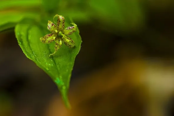 450450861_8212471548796917_5853074109785709628_n.jpg?stp=dst-jpg_p526x395&_nc_cat=101&ccb=1-7&_nc_sid=127cfc&_nc_ohc=ALuEuU82_wIQ7kNvgHS9Gsx&_nc_ht=scontent-ssn1-1.xx&oh=00_AYC2UyioA495nSeYN7iFo7rjGVUj6zariJ2q0jzTz75BSg&oe=66E3F67A