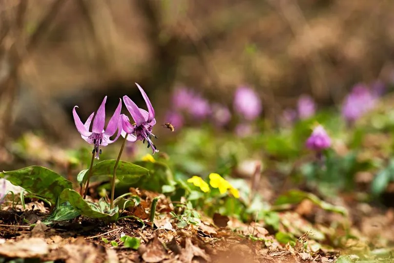 440937387_7862966087080800_4423744431944146929_n.jpg?_nc_cat=102&ccb=1-7&_nc_sid=5f2048&_nc_ohc=2Qz7O7VpquAQ7kNvgGbs121&_nc_ht=scontent-ssn1-1.xx&oh=00_AYCnu96u5u87yv_CY9LuJiKKUzR8aoGsQ9c2Rb7-IrkmKA&oe=66433D7B