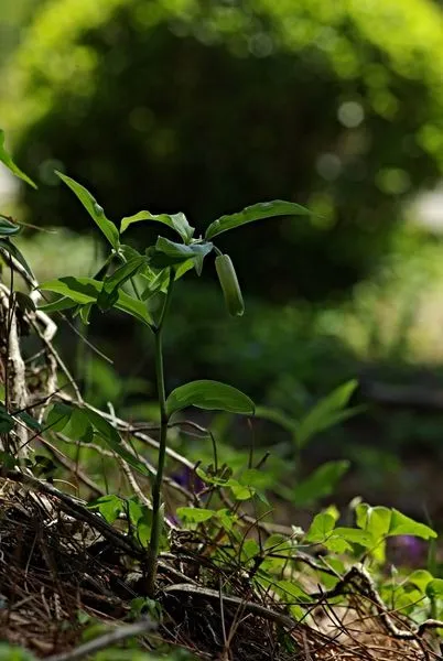 450226815_8212472308796841_7623019113456470465_n.jpg?stp=dst-jpg_s600x600&_nc_cat=109&ccb=1-7&_nc_sid=127cfc&_nc_ohc=IgIgtW6j5IoQ7kNvgGrLIA4&_nc_ht=scontent-ssn1-1.xx&oh=00_AYCfzC3V1O6JzXsLnvkkyARpBJjpvp07DVQ3ppsCS4Engg&oe=66E4179B