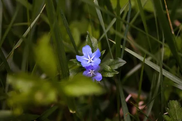 448269354_8072936666083740_9060090091352222330_n.jpg?stp=dst-jpg_p526x395&_nc_cat=103&ccb=1-7&_nc_sid=127cfc&_nc_ohc=ri7czXAHswgQ7kNvgEmJjUf&_nc_ht=scontent-ssn1-1.xx&oh=00_AYAVq3Zp_J17NGtogyDl68jJBWsijzhZVrpgUD0S9Q5jOA&oe=66811CBB