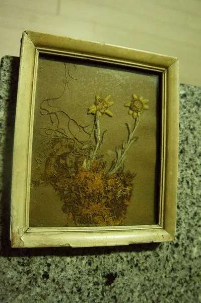 453195759_8325906427453428_2203151072381878026_n.jpg?stp=dst-jpg_s600x600&_nc_cat=104&ccb=1-7&_nc_sid=127cfc&_nc_ohc=6J0gaPHnFwcQ7kNvgH3OA6B&_nc_ht=scontent-ssn1-1.xx&_nc_gid=AGXJfqGR84aGmGz2lUmNpjT&oh=00_AYBMGYWqlEAKbcZDSrQWnN4ggjAXkO5G-wdSoGZXL-d9Fg&oe=66FE88DB