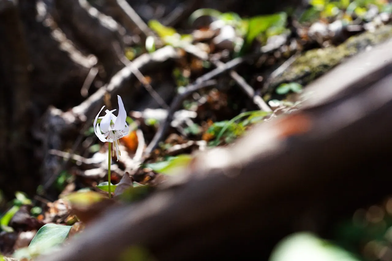 440928516_7862966583747417_9142507088307066393_n.jpg?_nc_cat=107&ccb=1-7&_nc_sid=5f2048&_nc_ohc=1dpVTISuCMoQ7kNvgGOztsc&_nc_ht=scontent-ssn1-1.xx&oh=00_AYAhMmhGC6pXGShoYGWq0UXb8eCTsLyHFZmMOVtuIvIntA&oe=66436D60