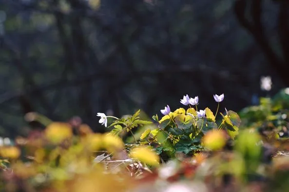 449079147_8128327827211290_6741787564780661561_n.jpg?stp=dst-jpg_p526x395&_nc_cat=102&ccb=1-7&_nc_sid=127cfc&_nc_ohc=_yODH8nAsg4Q7kNvgH6yMLB&_nc_ht=scontent-ssn1-1.xx&oh=00_AYD_mzhBFdGsSnbyhpoGYLdcDkrtahLhByQ3Ag3wfFGc1g&oe=66938F98