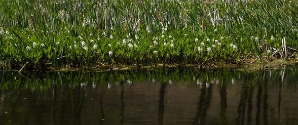 449704558_8179674845409921_4667314329886448047_n.jpg?stp=dst-jpg_p370x247&_nc_cat=107&ccb=1-7&_nc_sid=127cfc&_nc_ohc=t4DSm-a8iyAQ7kNvgFERITY&_nc_ht=scontent-ssn1-1.xx&oh=00_AYDpC3jEAdwZpgrGoUbdmlo5BS0U5wI2jEuz6cRRUFPPDg&oe=66DEC45E