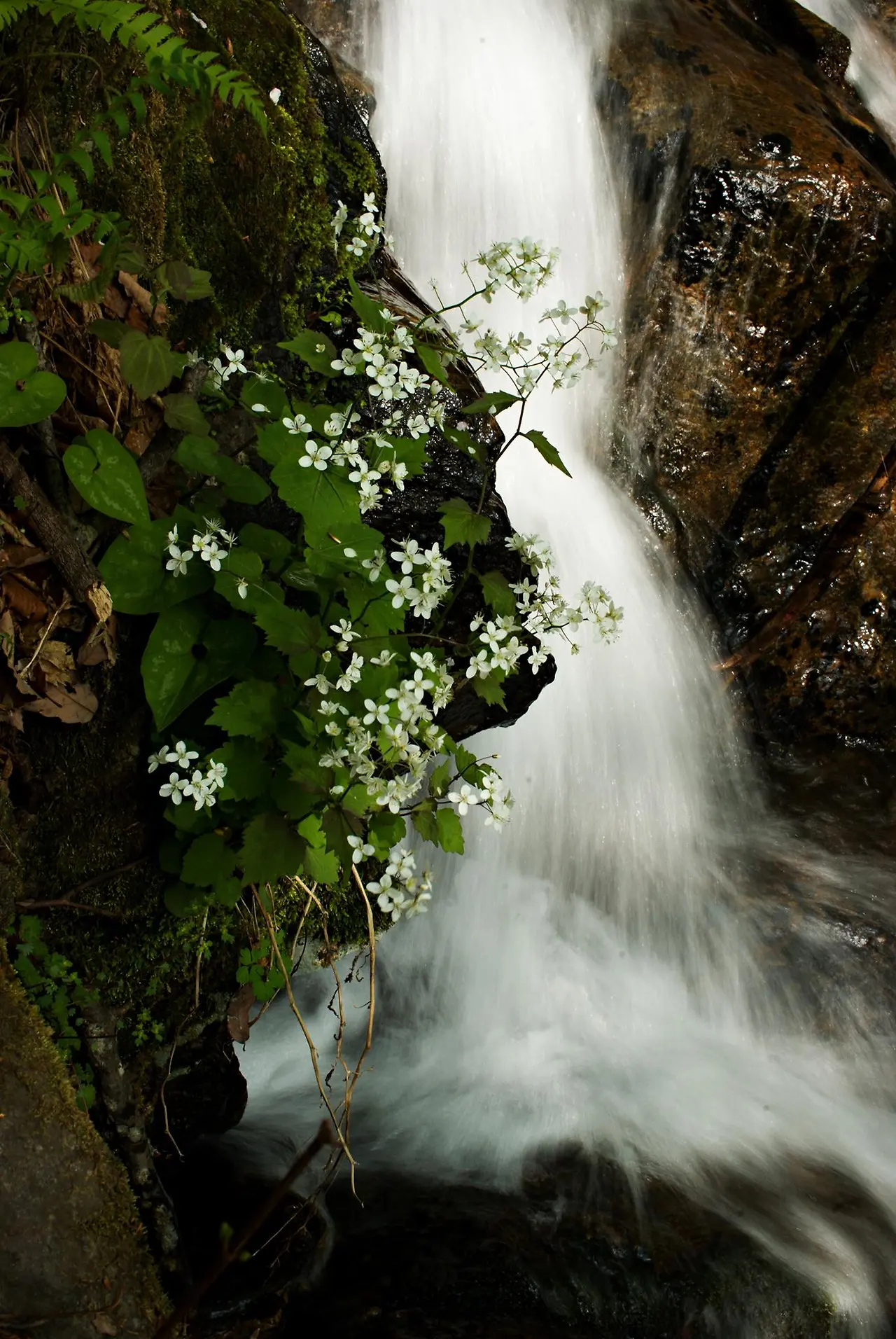 445029345_7996612827049458_4151695799061654662_n.jpg?_nc_cat=108&ccb=1-7&_nc_sid=5f2048&_nc_ohc=73dUjiUJgpgQ7kNvgHZ6Y3X&_nc_ht=scontent-ssn1-1.xx&oh=00_AYBPMfvO91yKgXGbx7wnvlf8590HEHG3donuyLe1Pq0bjw&oe=66681ED1