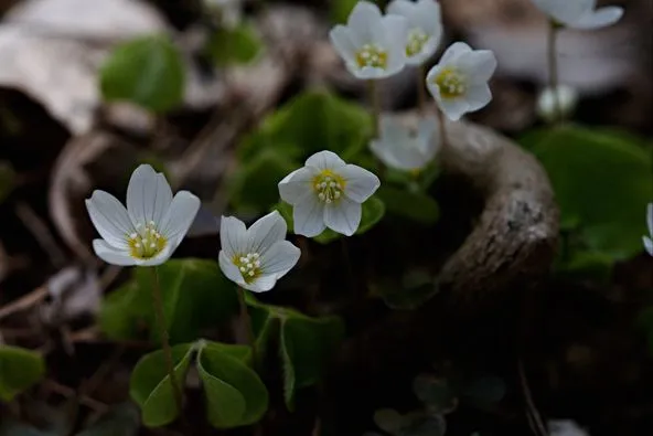 436238297_7926017260775682_8456891838771661114_n.jpg?stp=dst-jpg_p526x395&_nc_cat=111&ccb=1-7&_nc_sid=5f2048&_nc_ohc=7bXJVqDiEbwQ7kNvgEaDUIp&_nc_ht=scontent-ssn1-1.xx&oh=00_AYDoz56E0ry_t0zGpx-j2odGTFs3Lwb2lq1V6GEwATMGkg&oe=665AFC05