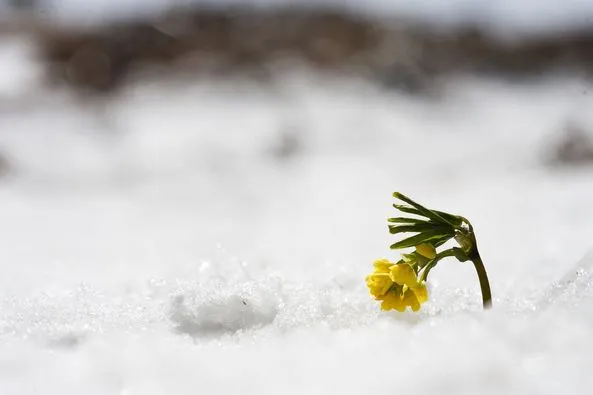 448765461_8107594639284609_8680733776277627082_n.jpg?stp=dst-jpg_p526x395&_nc_cat=107&ccb=1-7&_nc_sid=127cfc&_nc_ohc=uJA0IxGY1pIQ7kNvgHG2z7h&_nc_ht=scontent-ssn1-1.xx&oh=00_AYA_AsZw6GiRrJKBP6LPnWymfTEab9EoLUJlp53OUr_b9g&oe=668B9AD7