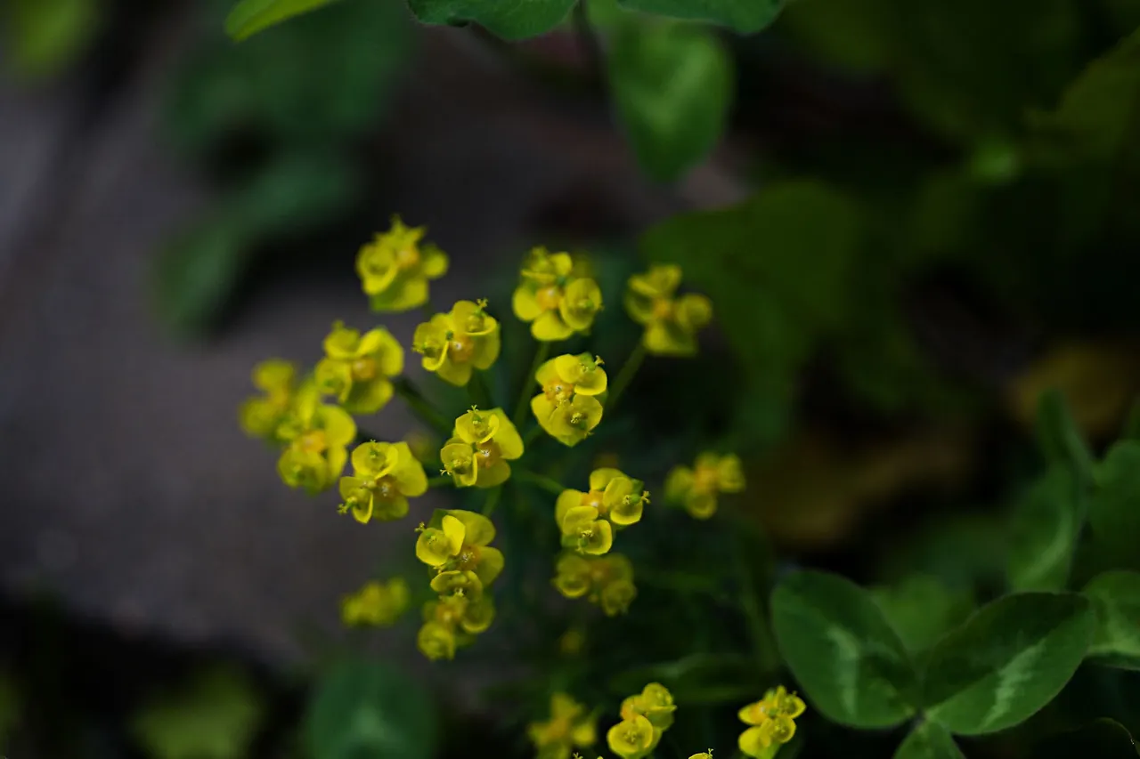 442488615_7973178146059593_1683841058954660290_n.jpg?_nc_cat=107&ccb=1-7&_nc_sid=5f2048&_nc_ohc=oXPSLy9l2gkQ7kNvgGpv7h6&_nc_ht=scontent-ssn1-1.xx&oh=00_AYD43lMr1x-Mi_EOSDL8m1QNSOajSAqsKhol0PITFhqChg&oe=6664261B