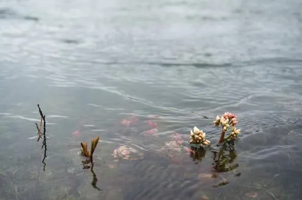 447783893_8058424090868331_2226102686557602960_n.jpg?stp=dst-jpg_p526x395&_nc_cat=110&ccb=1-7&_nc_sid=5f2048&_nc_ohc=b_JNhvm9rNwQ7kNvgFSisCi&_nc_ht=scontent-ssn1-1.xx&oh=00_AYC25U7NEqBEX9aLmvIY6saXuSSPiHXE39JitAxNpeWJMw&oe=667E9744