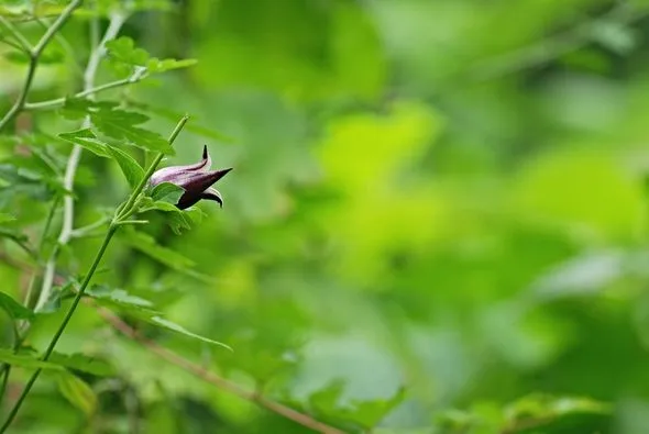 452618139_8284191264958278_7074698107389558779_n.jpg?stp=dst-jpg_p526x395&_nc_cat=106&ccb=1-7&_nc_sid=127cfc&_nc_ohc=0aUC03vjD8wQ7kNvgGLvU_P&_nc_ht=scontent-ssn1-1.xx&_nc_gid=AGn6a--MxPU27_Q1bNeM0X4&oh=00_AYD3O9TBGJVs0P4tivTfDBoJxiIsw5bmIQWPP-7FdAAYNA&oe=66EFF010