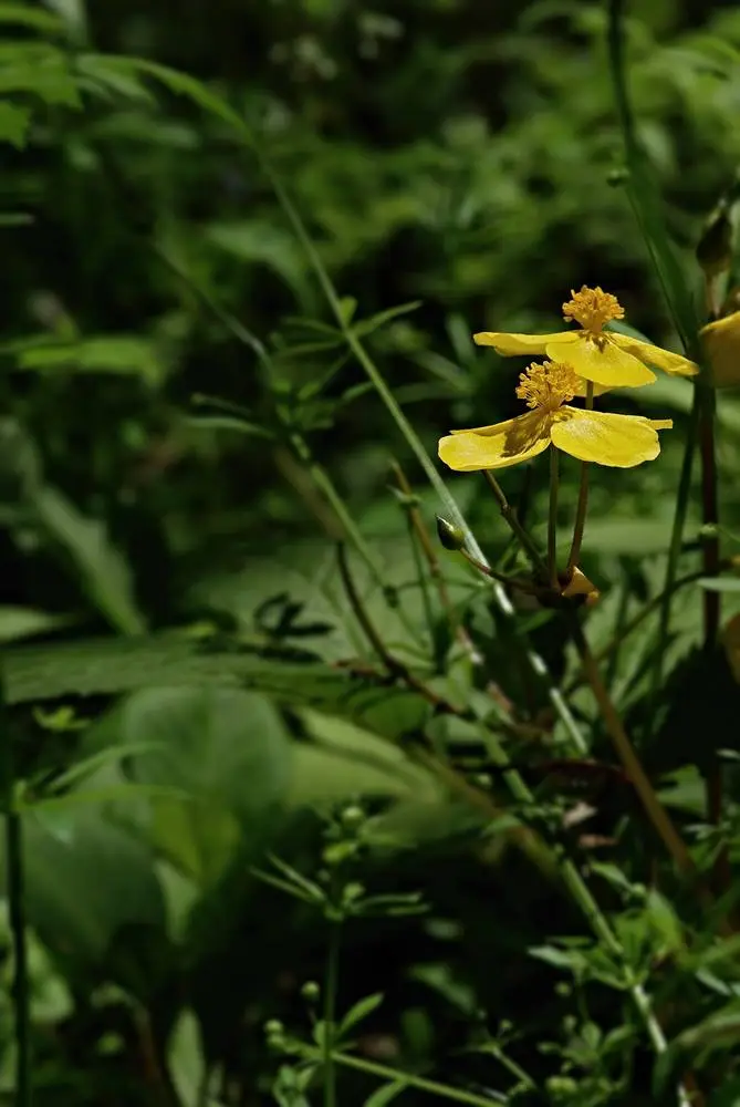 439441875_7894842867226455_5621698522771204478_n.jpg?_nc_cat=104&ccb=1-7&_nc_sid=5f2048&_nc_ohc=CuOyslGU1EgQ7kNvgETVqsB&_nc_ht=scontent-ssn1-1.xx&oh=00_AYCgdGl3esimhVa7C6M20If5vGfNZftsTd8-0KtdWGJWFA&oe=664C53A9