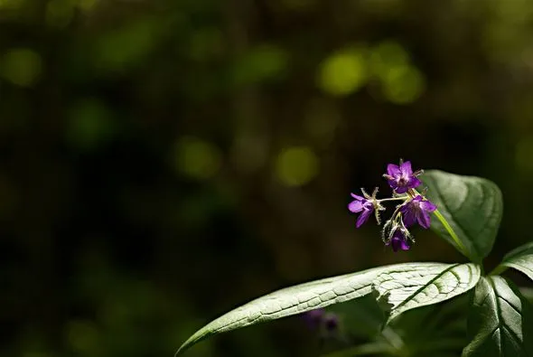 448268068_8072935862750487_77078639845520918_n.jpg?stp=dst-jpg_p526x395&_nc_cat=100&ccb=1-7&_nc_sid=127cfc&_nc_ohc=JlOWlVMQRxUQ7kNvgGmR0a9&_nc_ht=scontent-ssn1-1.xx&oh=00_AYAiuu5ktS9C9TMNLVhiqlsDBmq_AihjZUyZZuO__f8tYg&oe=66811471