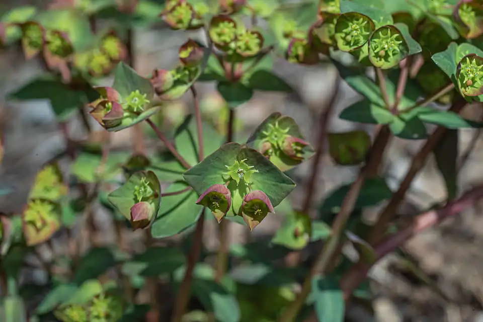 442439655_7973177536059654_6976871782747333919_n.jpg?_nc_cat=103&ccb=1-7&_nc_sid=5f2048&_nc_ohc=xxznFJAYmncQ7kNvgF0VVAN&_nc_ht=scontent-ssn1-1.xx&oh=00_AYD6fADr9XLXyNLf3iRC8q0gMyQq0w84MUypv8RCK3nxLQ&oe=66644847