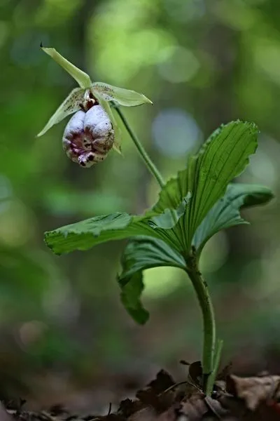 459982754_8642884292422305_825061962111196490_n.jpg?stp=dst-jpg_s600x600&_nc_cat=102&ccb=1-7&_nc_sid=127cfc&_nc_ohc=gvdDZPtj1qMQ7kNvgGDF7vW&_nc_ht=scontent-ssn1-1.xx&_nc_gid=APRUuaP20YDYJooVmwrmLNJ&oh=00_AYCrpUJXK-BNVYB4rv-vbaTE-c_lay6TgaceJD7V65lOPA&oe=66FE8EFE