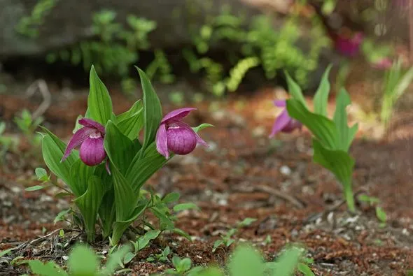 460344742_8642884342422300_8575592550351411852_n.jpg?stp=dst-jpg_p526x395&_nc_cat=102&ccb=1-7&_nc_sid=127cfc&_nc_ohc=EKg0YTT9vNwQ7kNvgEI3FlQ&_nc_ht=scontent-ssn1-1.xx&_nc_gid=APRUuaP20YDYJooVmwrmLNJ&oh=00_AYABeiOhcnw-TnthT3hU4482r04eYHGbfhhlHE1KSg7Y8A&oe=66FE921D