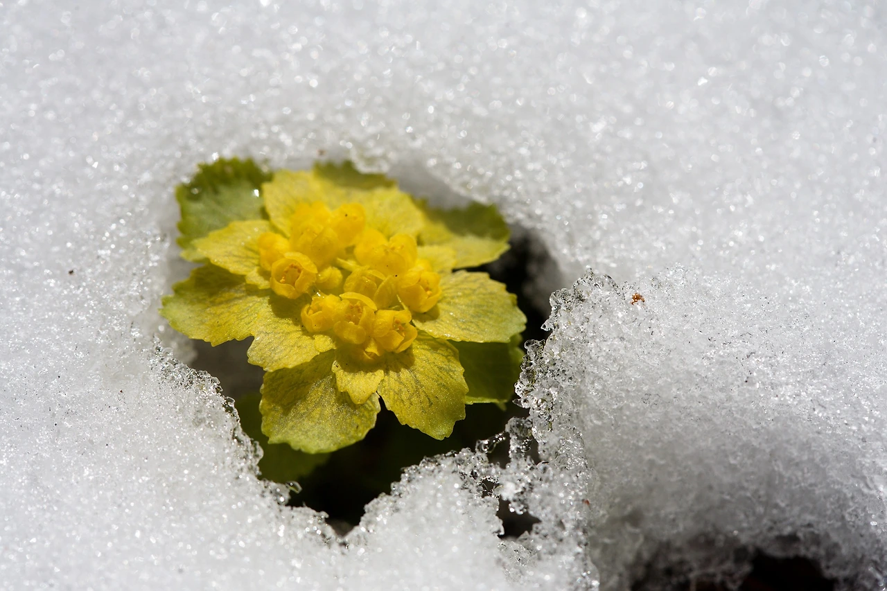 443718542_7943137992396942_6082666342536594237_n.jpg?_nc_cat=101&ccb=1-7&_nc_sid=5f2048&_nc_ohc=WxKsE-rzvrQQ7kNvgHOSAjW&_nc_ht=scontent-ssn1-1.xx&oh=00_AYAHojyDe-7z5StHKu3bDoUOZJ_8UFlI1HUPWX064odynw&oe=665EF149