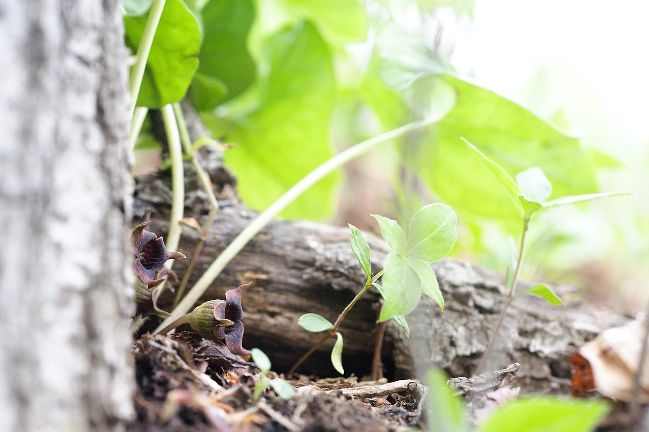 444789770_8010229809021093_7149538171929601411_n.jpg?_nc_cat=102&ccb=1-7&_nc_sid=5f2048&_nc_ohc=JiqQfdGisDwQ7kNvgFkfNYN&_nc_ht=scontent-ssn1-1.xx&oh=00_AYABWajjbq-elroYi5-XECP2wt9GeolOJMINLlLmkLdWFQ&oe=666C3E09