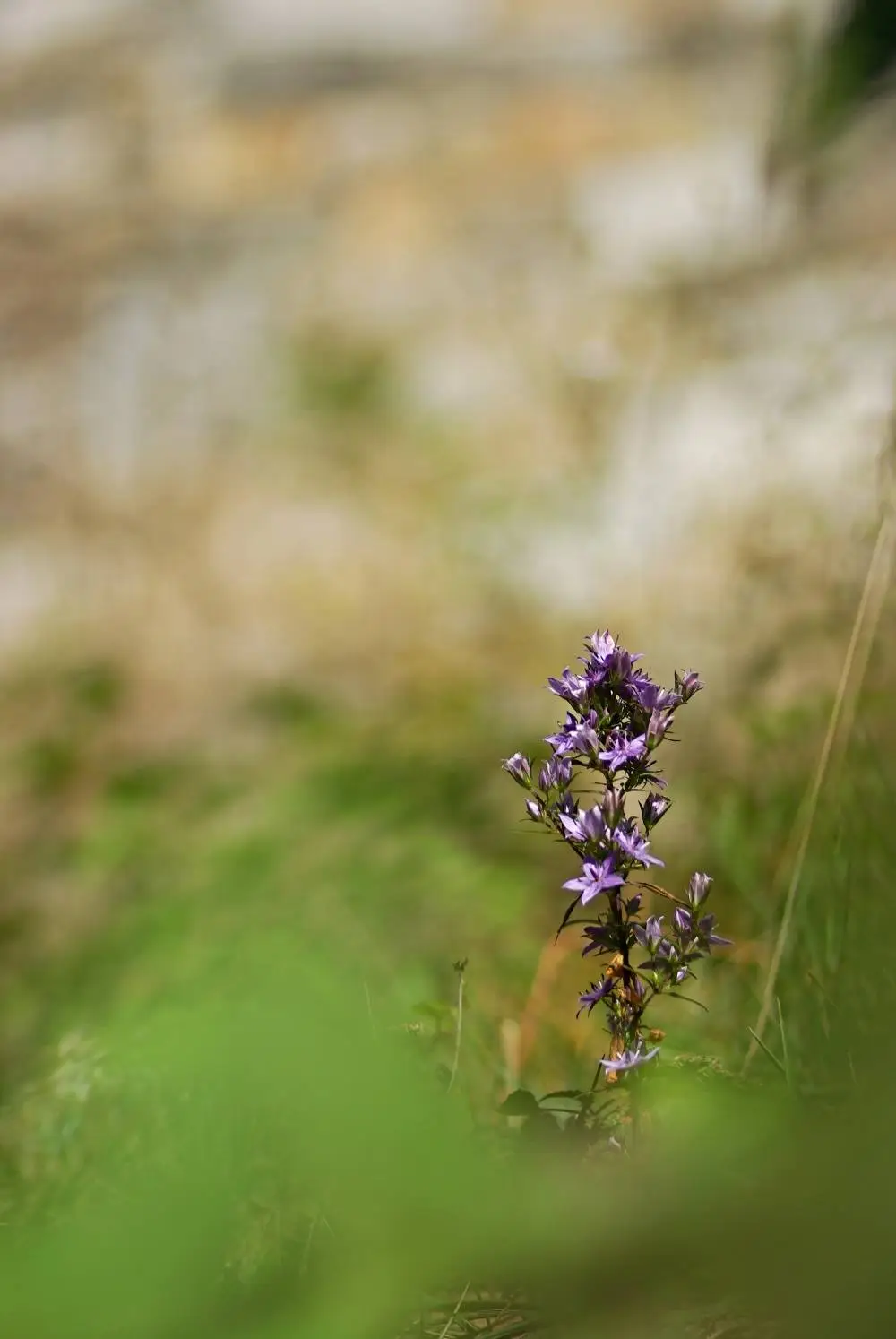 454007561_8367896353254435_7395243154276076552_n.jpg?_nc_cat=110&ccb=1-7&_nc_sid=127cfc&_nc_ohc=hmZkIxp9RjcQ7kNvgFC435t&_nc_ht=scontent-ssn1-1.xx&_nc_gid=AzqKjb-gNdVQk9biD2i5lO4&oh=00_AYBYGQEs_5n3UDudXccexF_mBqmzTFwC3sbk4TJ4fQsY8w&oe=66FE6A9F