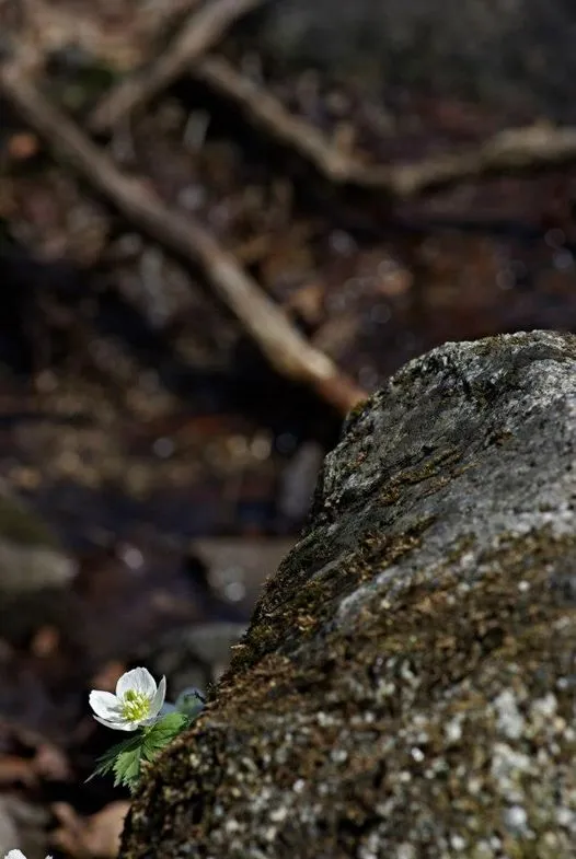 441042714_7885545201489555_8640229039273251487_n.jpg?_nc_cat=105&ccb=1-7&_nc_sid=5f2048&_nc_ohc=Us340OvgqbQQ7kNvgFr07TH&_nc_ht=scontent-ssn1-1.xx&oh=00_AYBxK4yEnKja5PCagcVxAiLJR6yjEliN_6hnBZ8Jk4l6aA&oe=66486AD6