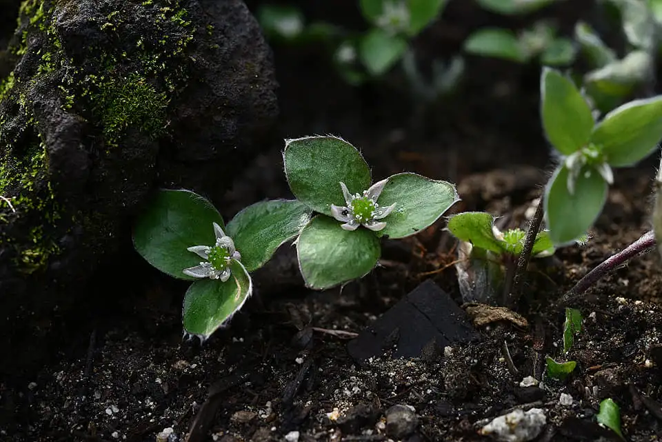 434762725_7779593772084699_2254082304915596211_n.jpg?_nc_cat=107&ccb=1-7&_nc_sid=5f2048&_nc_ohc=j3dzwR0bG-IAb7nmgLG&_nc_ht=scontent-ssn1-1.xx&oh=00_AfBwZot7FuF67vcEHTpm7Hdp7WViTxR8_v-k4Ow5yisyHw&oe=662E272F