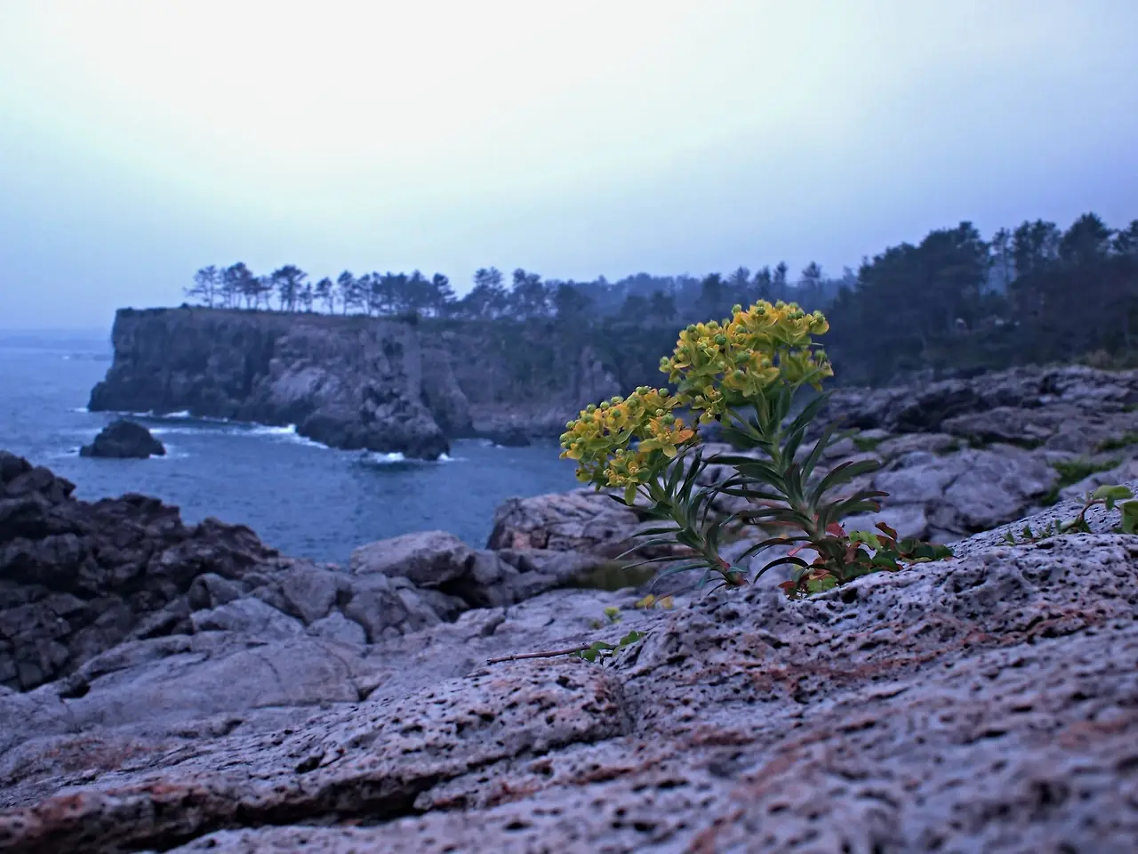 442502310_7973179582726116_6344318823843684555_n.jpg?_nc_cat=104&ccb=1-7&_nc_sid=5f2048&_nc_ohc=jp8Sh5u-hxQQ7kNvgE-Qow_&_nc_ht=scontent-ssn1-1.xx&oh=00_AYC9_iUFWTeV2oYgehaNSe_YbK3PEHWGhC1JSqdGvn0cSQ&oe=666439DC