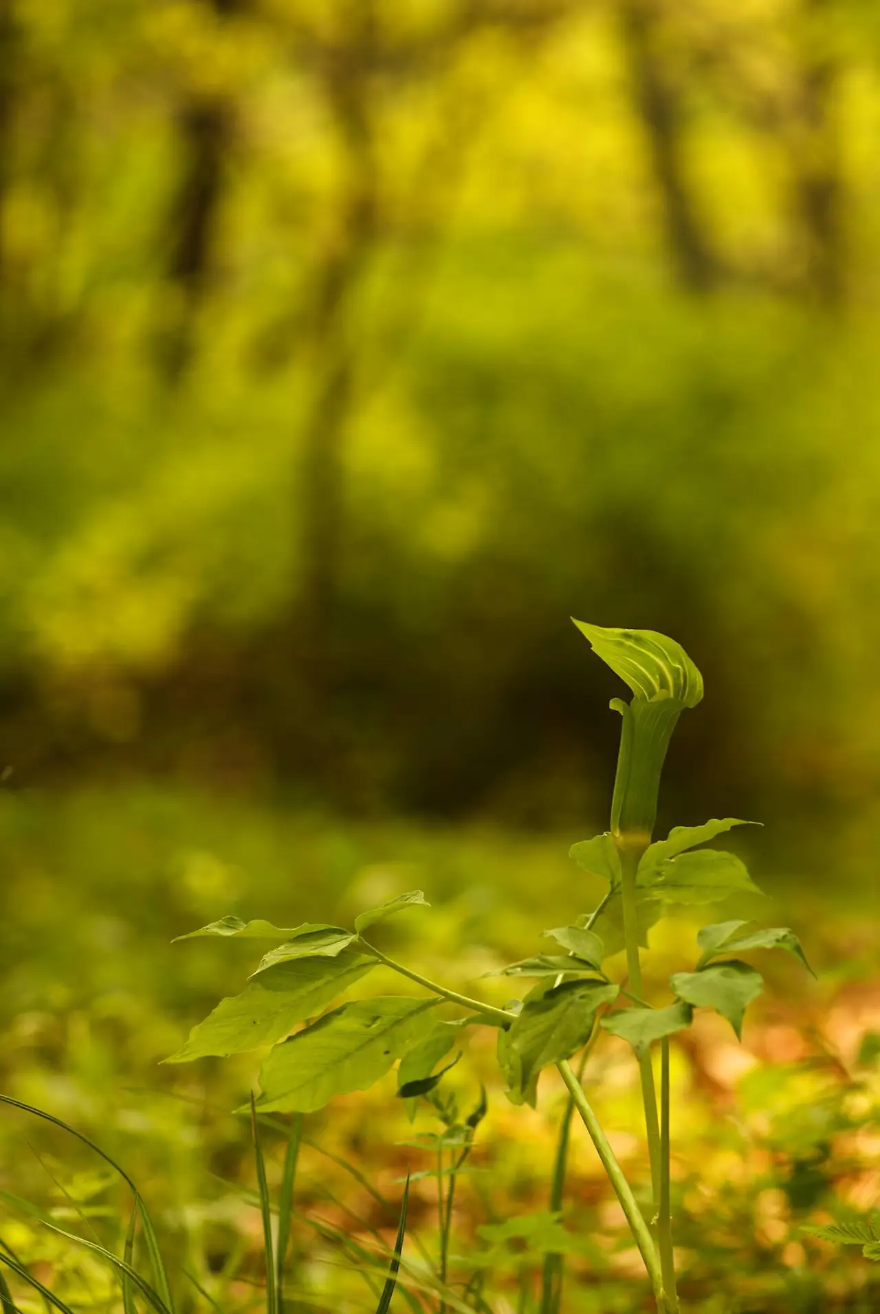 446915745_8028086657235408_2323787091175341322_n.jpg?_nc_cat=100&ccb=1-7&_nc_sid=5f2048&_nc_ohc=cb6pYahN3vEQ7kNvgG56haQ&_nc_ht=scontent-ssn1-1.xx&oh=00_AYBzZfwizOfQTsC_y14nfS4f-OLxJgQrQyQrPGNQtv0dqQ&oe=666FF98B