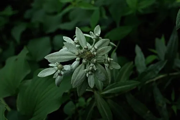 453203153_8325906907453380_7829971158544269969_n.jpg?stp=dst-jpg_p526x395&_nc_cat=101&ccb=1-7&_nc_sid=127cfc&_nc_ohc=LDitQs81X-gQ7kNvgEgHul3&_nc_ht=scontent-ssn1-1.xx&_nc_gid=AGXJfqGR84aGmGz2lUmNpjT&oh=00_AYD3P3giL11ufq1RQms9UUuKcEiuk01YNtM7xvl4Lu9H7A&oe=66FE6CD3