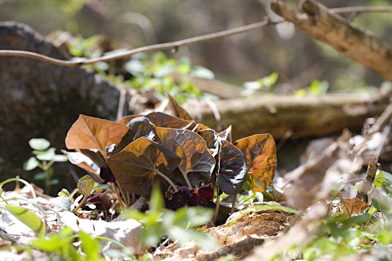 427983785_8010232405687500_8375704461995869246_n.jpg?_nc_cat=105&ccb=1-7&_nc_sid=5f2048&_nc_ohc=0tHfWLKBG4oQ7kNvgGMxx42&_nc_ht=scontent-ssn1-1.xx&oh=00_AYAYSgeeBk9fG62fWL2YC-WaGL1xvJZkJDa_LfoT3J1prg&oe=666C3614