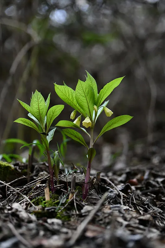 440383569_7909544589089616_2654408255043716013_n.jpg?_nc_cat=104&ccb=1-7&_nc_sid=5f2048&_nc_ohc=J9mxrxEPu1IQ7kNvgGG4nMC&_nc_ht=scontent-ssn1-1.xx&oh=00_AYCAIfsa8dzfhrcrVx18UC8Uz27LDEUpRsXXgbgtPJc6Bw&oe=66545E63